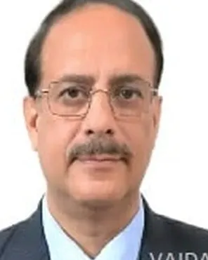 Portrait of Dr. Anil Vaishnavi