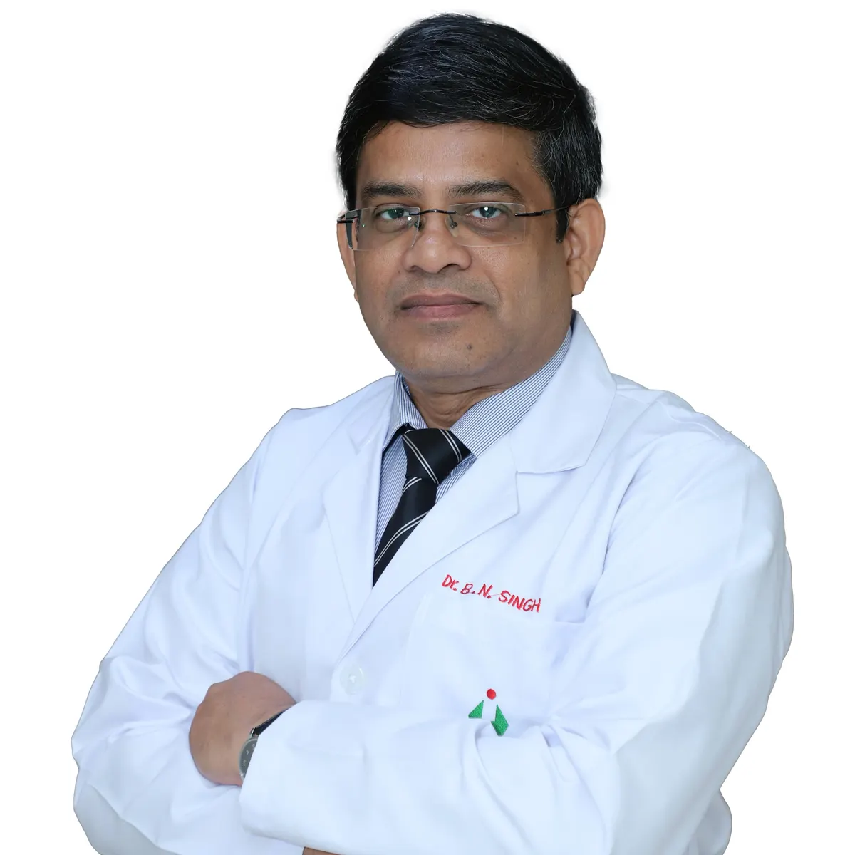 Portrait of Dr. B N Singh