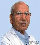 Portrait of Dr. Indrapati Singh