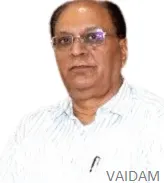 Portrait of Dr. V K Maini