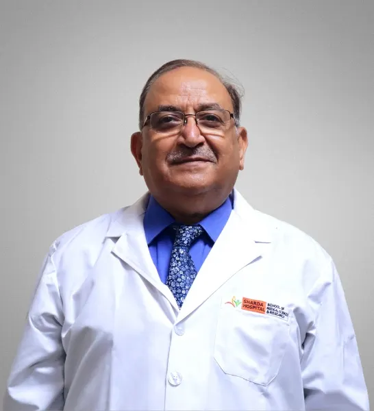 Portrait of Dr. Virender Kumar Gautam