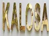 Kalosa Hair Transplant, Cosmetic and Gynae Clinic, Gurgaon